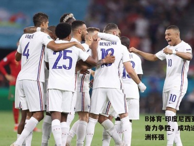 B体育-印度尼西亚队奋力争胜，成功进入欧洲杯强