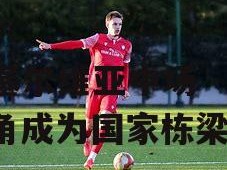 B体育-塞尔维亚中场崭露头角成为国家栋梁
