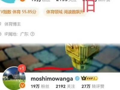 B体育-艰辛拼搏的胜利之路，运动员实力层出不穷
