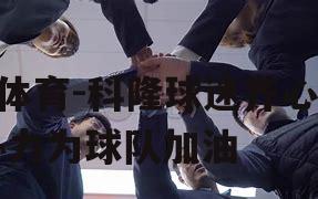 科隆球迷齐心协力为球队加油